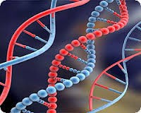 /album/galeria-de-fotos-pagina-inicial/imagesca3uemz5-jpg/