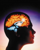 /album/galeria-de-fotos-pagina-inicial/fg-png/