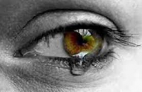 /album/galeria-de-fotos-pagina-inicial/emo%c3%a7%c3%a3o-png1/